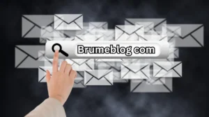 Brumeblog Com Review: Features, Insights & Guide