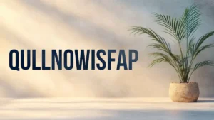 Is Qullnowisfap Products Good? Honest Review Guide